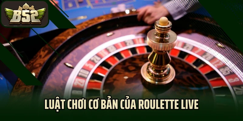 Luật chơi cơ bản của roulette live