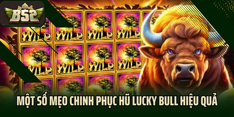 Một số mẹo chinh phục hũ Lucky Bull hiệu quả