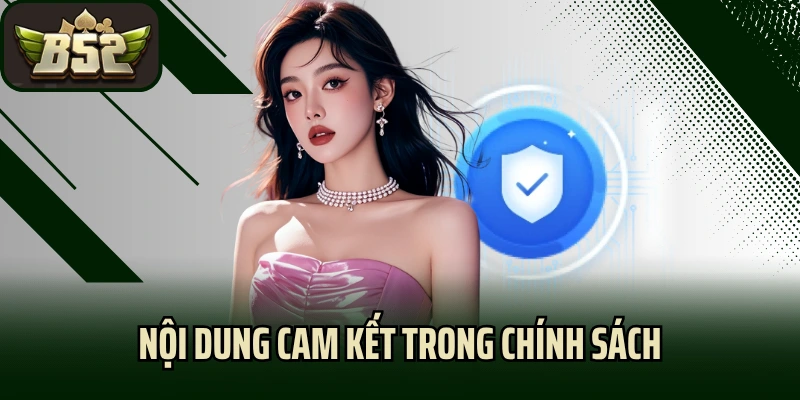 Nội dung cam kết trong chính sách